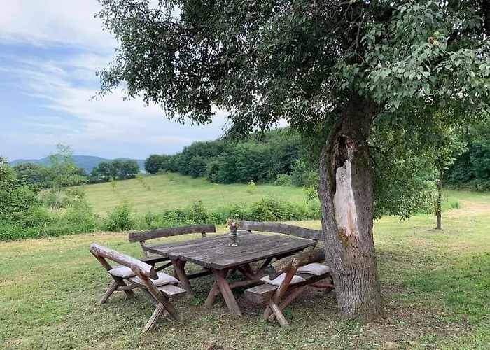 Talin Raj Arandjelovac